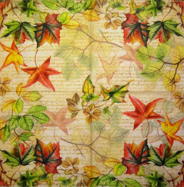 001 Plants - 3 ply - Molca